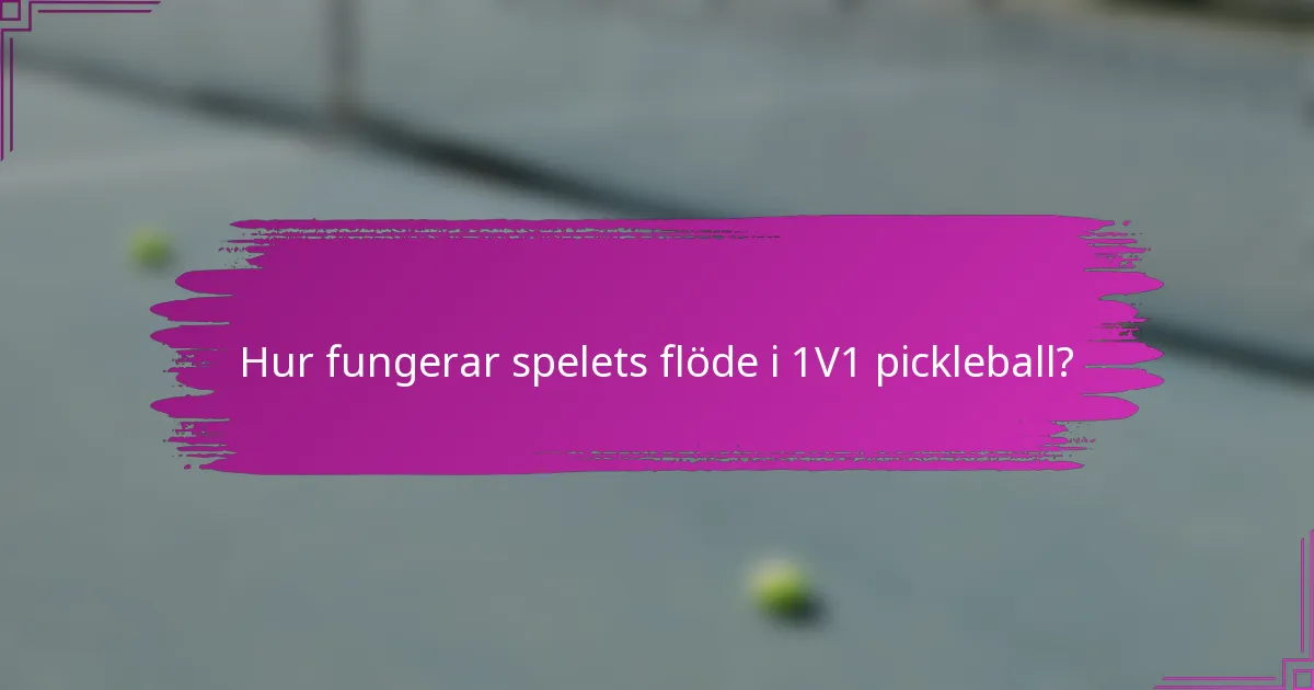 Hur fungerar spelets flöde i 1V1 pickleball?