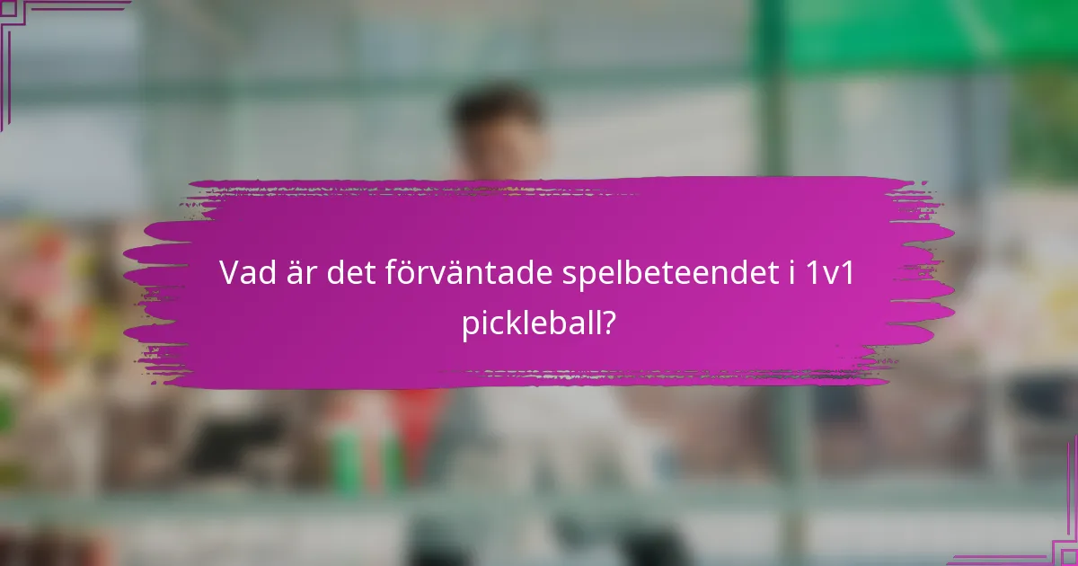 Vad är det förväntade spelbeteendet i 1v1 pickleball?